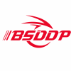 BSDDP
